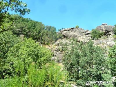 Pinares Navaluenga; rutas senderismo sierra madrid;mochilas de senderismo;marcha san sebastian;que e